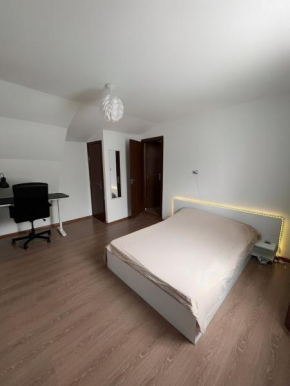 Studio in inima capitalei